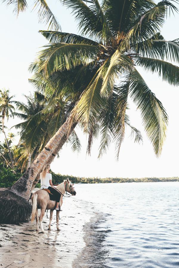 Soultribe Retreat Resort General Luna (Surigao del Norte)